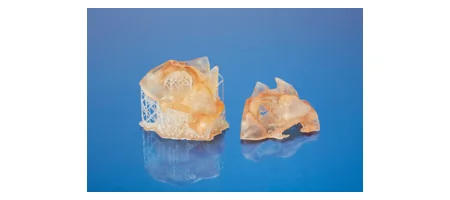 BioMed Amber Resin Form 3B/Form 3BL/Form 2 専用の造形サンプル2
