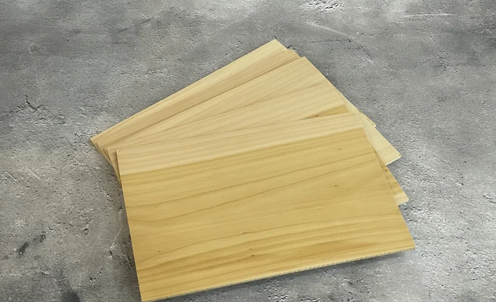 イチョウ 木材板 Mサイズ ×5枚 （200mm×300mm×5mm）の製品画像