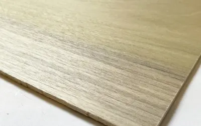 ホオノキ